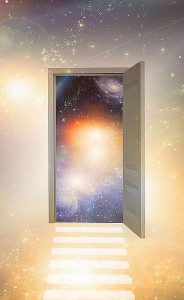 Lightbody-Tailor-portal