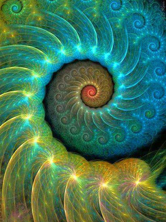 Lightbody Tailor distance healing