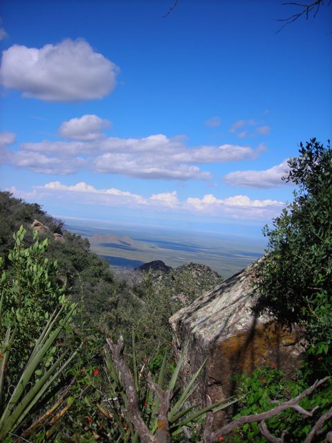 Organ mountains nm photograph