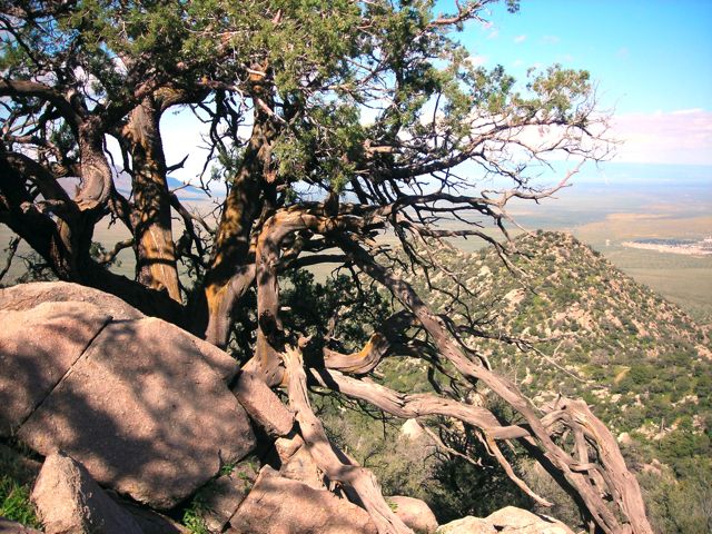 Organ mountains nm photograph