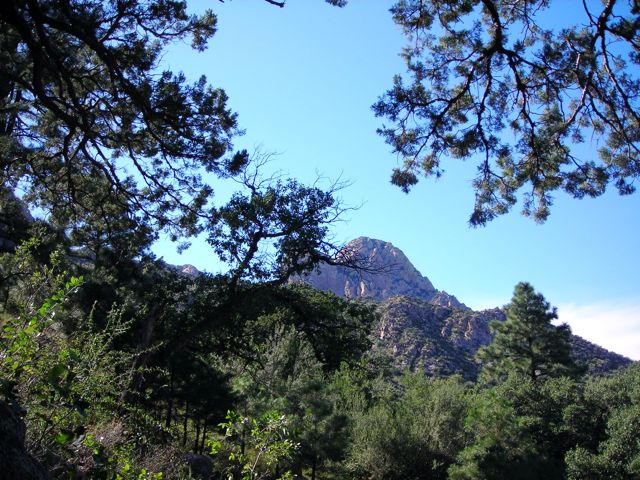 Organ mountains nm photograph
